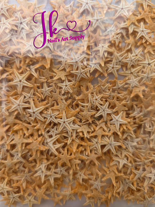Estrellitas De Mar Color Natural (12Piezas)